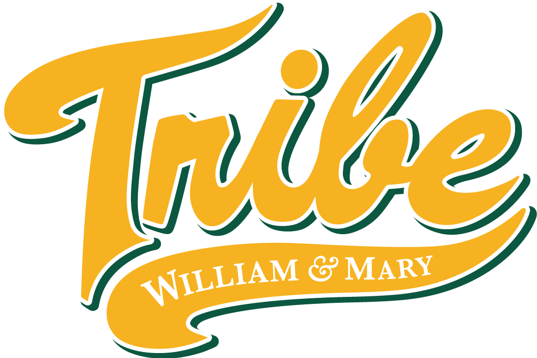 William and Mary Tribe 2016-2017 Alternate Logo v2 iron on transfers for T-shirts
